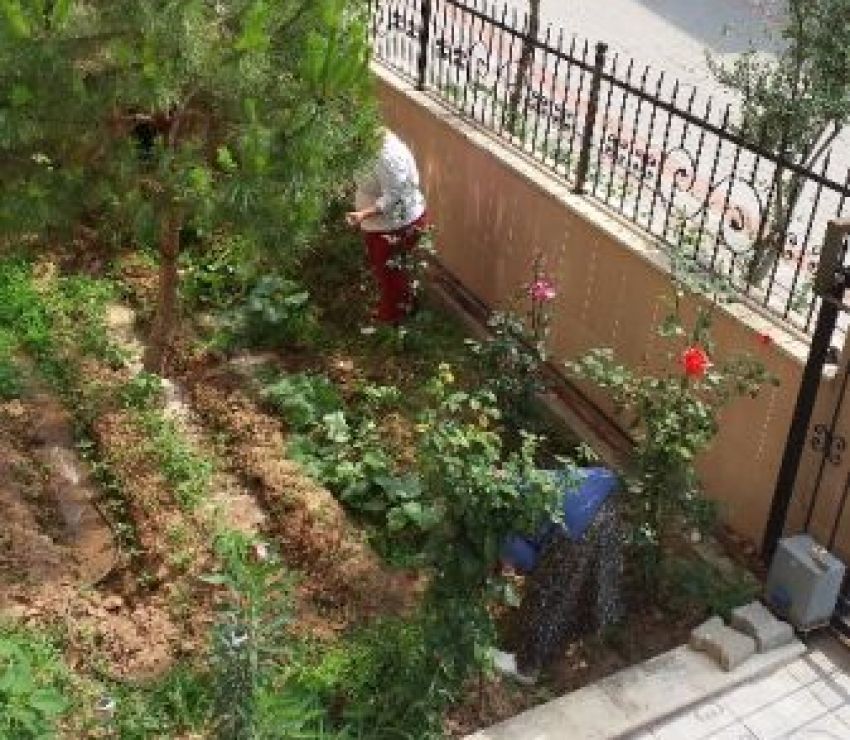 BAHÇEMİZ MAHSUL VERMEYE BAŞLADI Umut Dünyam Yaşlı Bakım Evi Denizli