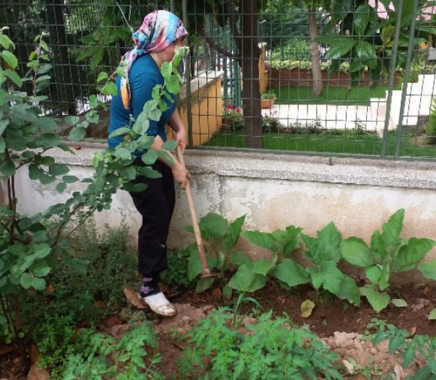 BAHÇEMİZ MAHSUL VERMEYE BAŞLADI Umut Dünyam Yaşlı Bakım Evi Denizli